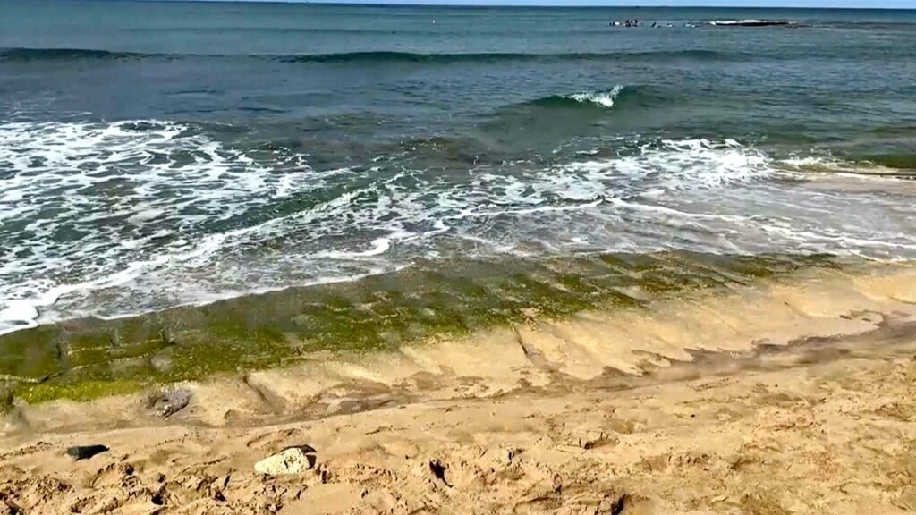 Ocean swells uncover 500-year-old petroglyphs on Oahu's shoreline
