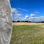 British officials unearth Ancient Roman soldier's monthly salary in a Norfolk field